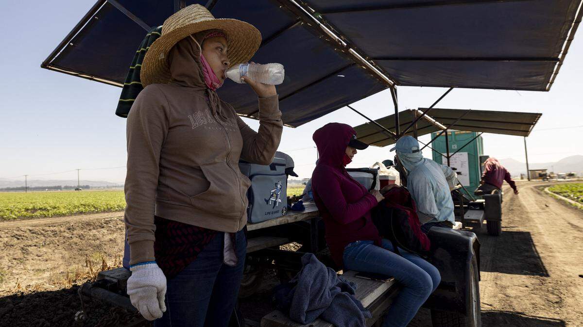 Farm workers take a break and drink water in the shade of a tent as they weed a bell pepper field in the sun as southern California is facing a heatwave, in Camarillo, on July 3 2024. The administration of US President Joe Biden on July 2, proposed new regulations aimed at protecting laborers working in extremely high temperatures, as heat waves intensified by climate change increasingly blanket the nation. The rule would be aimed at mail carriers, delivery people, construction workers, landscapers, restaurant staff and others exposed to consistently high heat indexes, which measures how the temperature actually feels to humans. (Photo by ETIENNE LAURENT / AFP) (Photo by ETIENNE LAURENT/AFP via Getty Images)