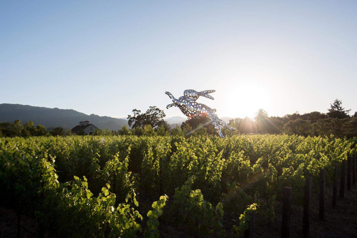 “Bunny Foo Foo” by Lawrence Argent is located near the entrance of Hall Wines in St. Helena.
