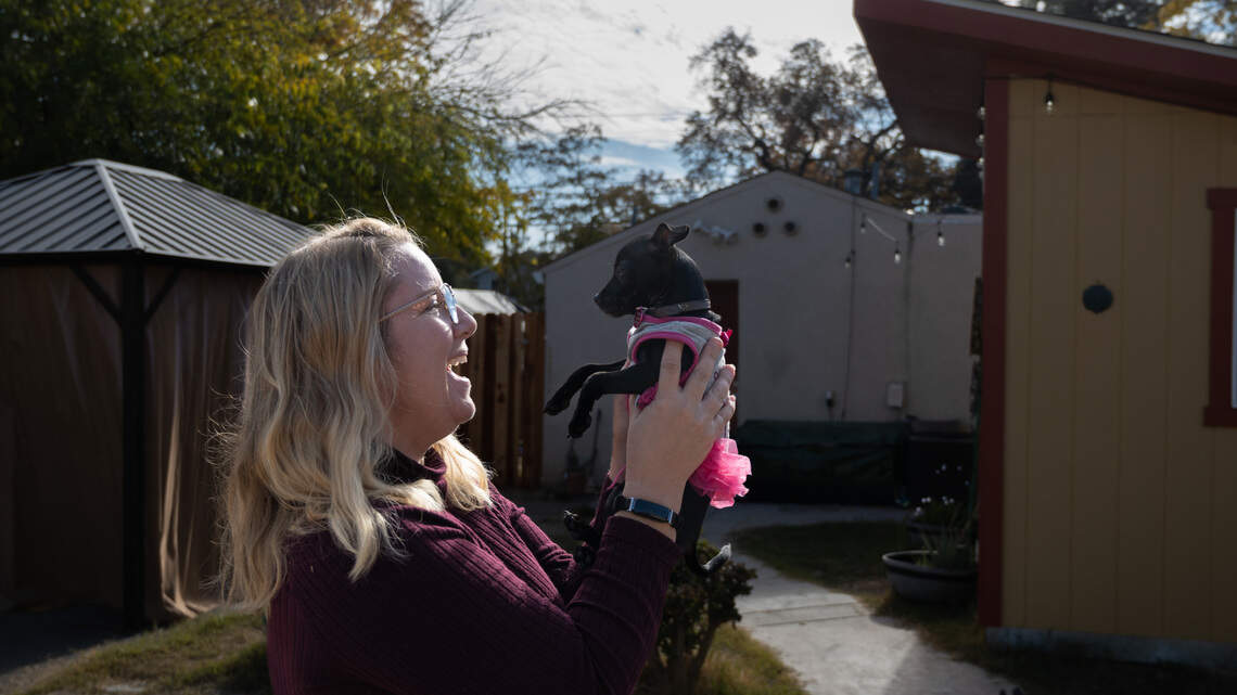 Book of Dreams: Good Sense Dogs helps find homes for down-and-out pets