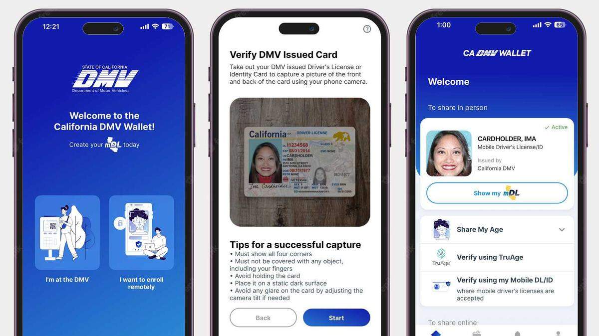 A California mobile driver’s license shown in the DMV’s app for iPhone operating systems. State officials announced Samsung Wallet now supports digital IDs, expanding access to the DMV’s mobile license program.