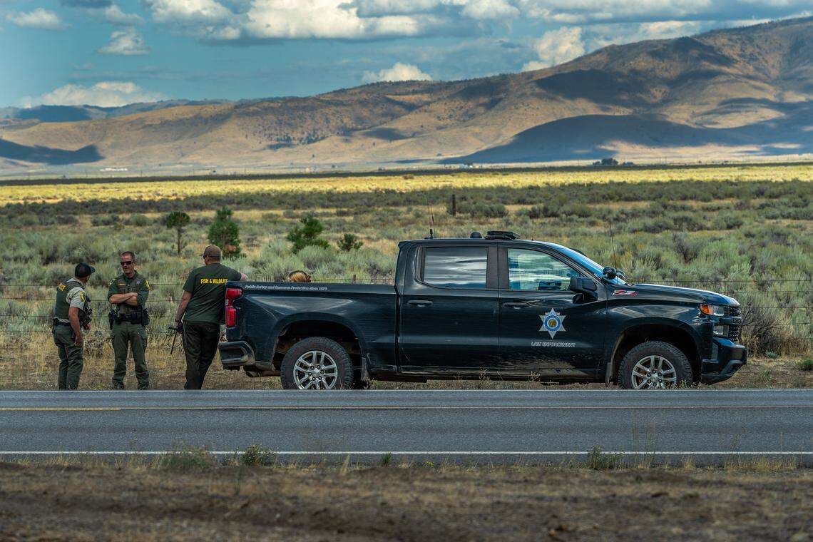 California Department of Fish and Wildlife summer strike team members meet after a wolf was seen crossing Highway A23 at the Sierra-Plumas County line on Sept. 12. One member, right, holds a radio telemetry antenna used to track the wolf. Despite efforts by the CDFW and the U.S. Department of Agriculture to mitigate wolves, livestock attacks and killings have increased in the region.