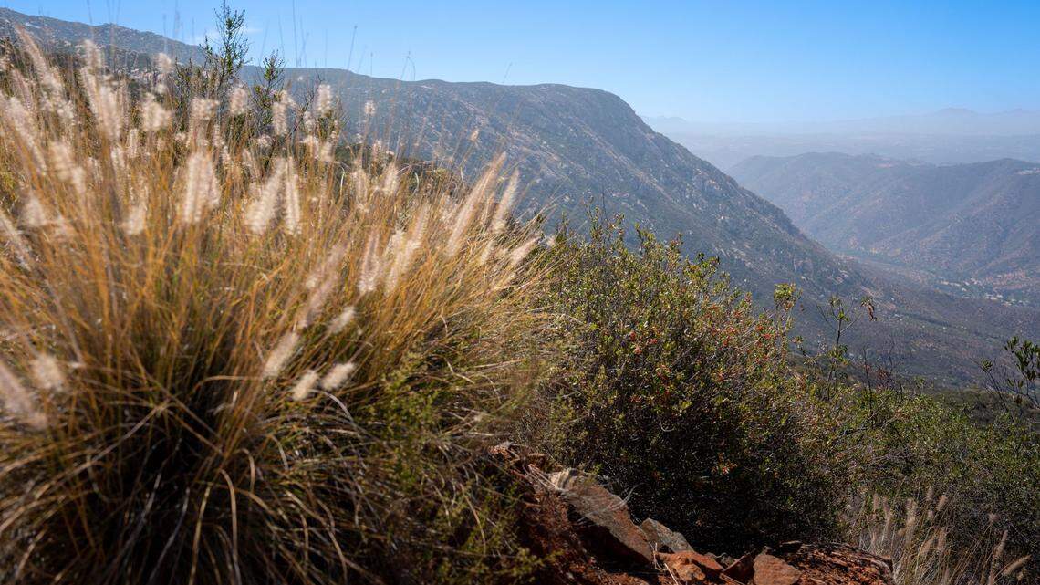 A hiker was reported missing by his family after he didn’t return from a hike on El Cajon Mountain in San Diego