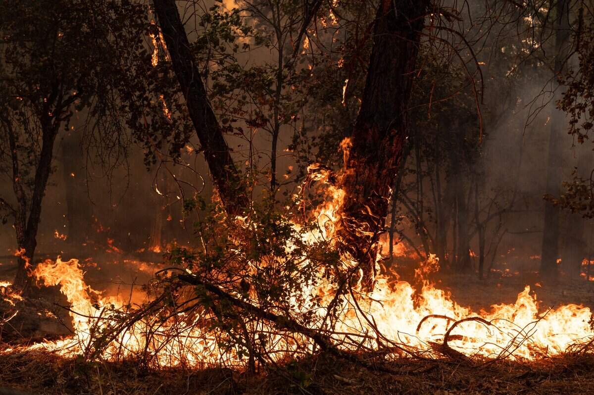 The River Fire burns a property off Highway 174 on Wednesday, Aug. 4, 2021, in Nevada and Placer counties.