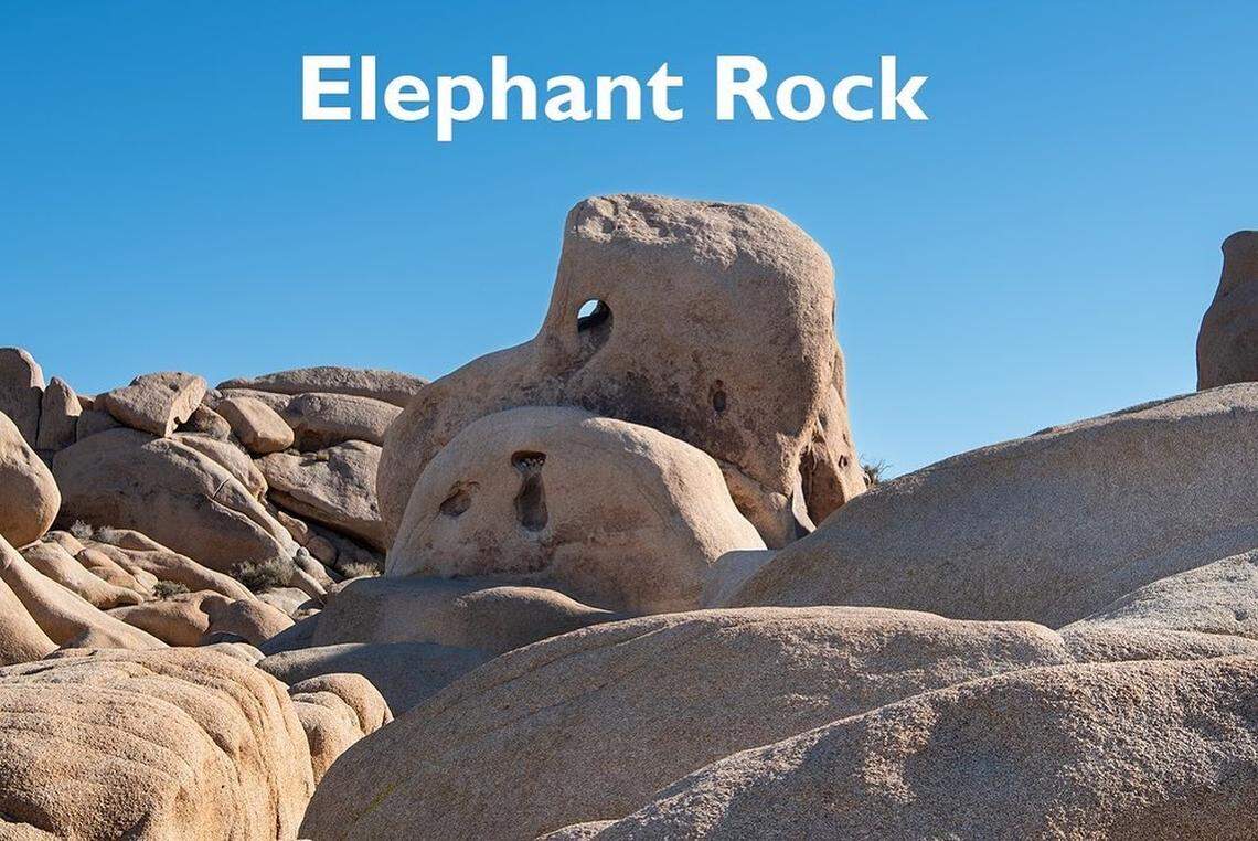 Elephant Rock at Joshua Tree National Park in California