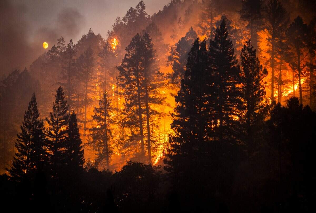 The Glass Fire burns above the Silverado Trail near St. Helena in the Napa Valley on Sunday night, Sept. 27, 2020.