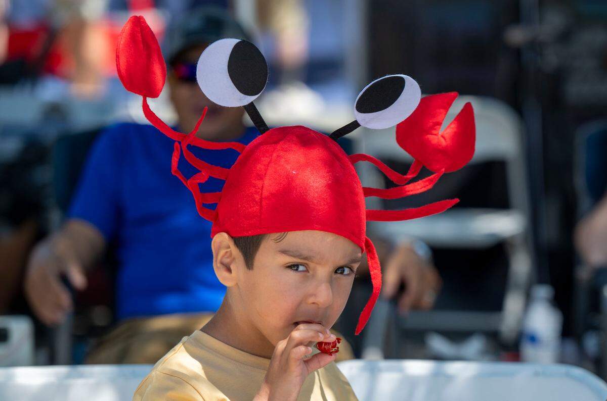 Valentino Ellis, 4, of Stockton, is discerning as he tries his first crawdad at the City of Isleton Crawdad Festival on Sunday.