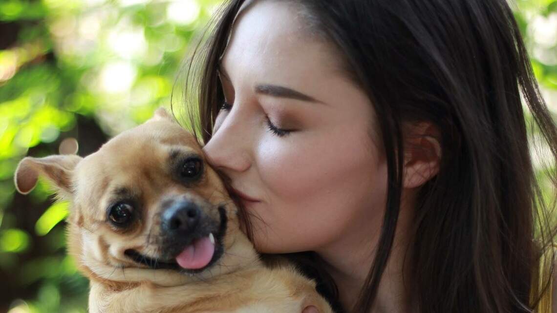 Inspired by her pupper, a streamer sets goal of $5,000 for Sacramento SPCA fundraiser