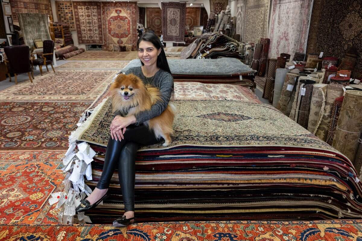 Rebecca Yaghoubian sits among thousands of carpets with her dog, Teddy, at Mansour’s Oriental Rug Gallery in Arden Arcade on Tuesday, April 28, 2026. The family-owned business is closing its Fair Oaks Boulevard location after 50 years, while maintaining a second store in Roseville.