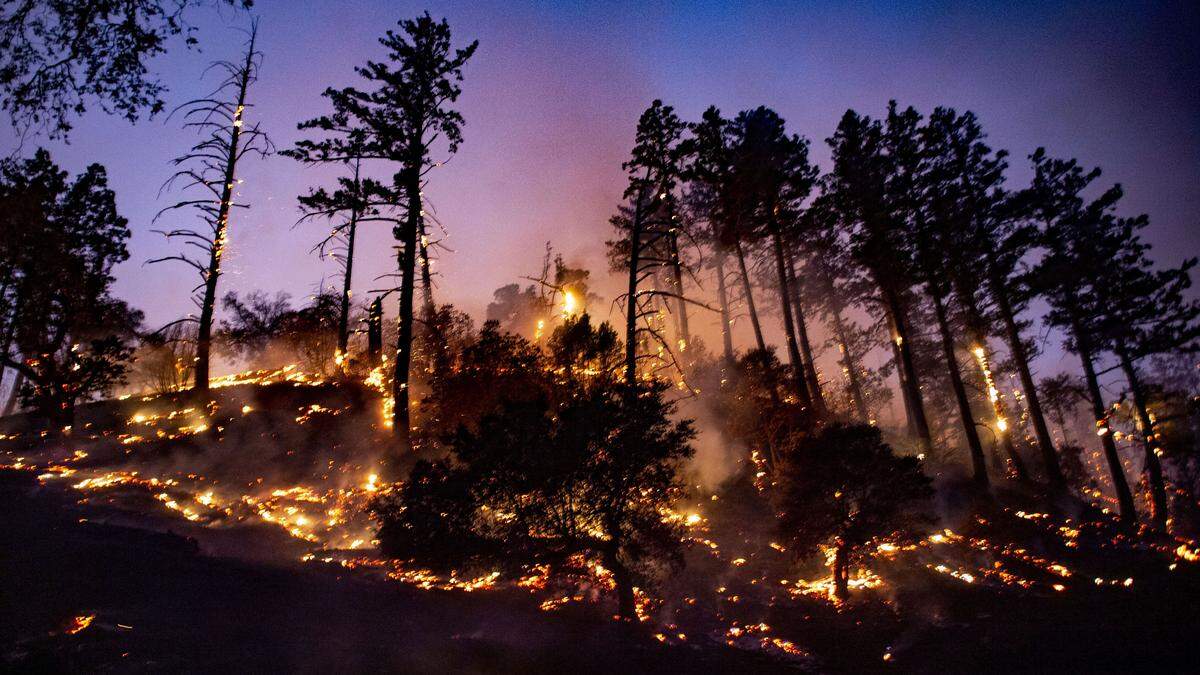 Trees catch fire on Pine Flat Road near McDonald Road as the Kincade Fire burns outside of Healdsburg as winds pick up Saturday night, Oct. 26, 2019.