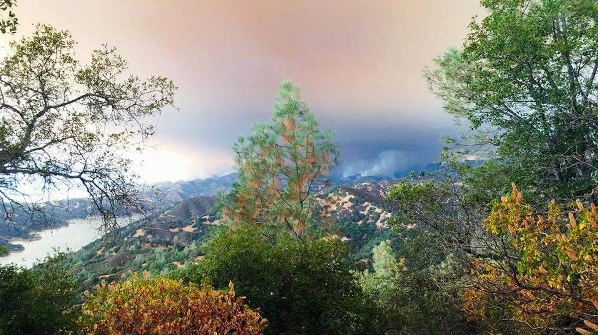 Three UC Davis reserves have been closed after the LNU Lightning Complex Fire swept through, including Quail Ridge Reserve, pictured during the County Fire in July 2018.
