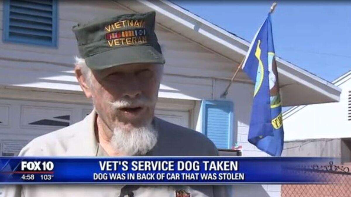 When someone stole Jack Steinman’s SUV Monday at a Glendale, Arizona, auto parts store, they also made off with the 76-year-old Navy veteran’s “best friend” - Ladybug, his 2 ½ year old service dog.