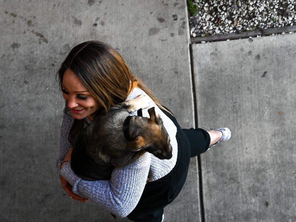 Jessica Rose returns to her hotel room with her new puppy at the Sacramento Inn & Suites in March. They had gotten the puppy after losing possession of their pet rabbit when they were evicted. She said if they were going to be street homeless, they wanted a dog. After moving into the Roseville Road shelter, the puppy ran into the street where it was fatally hit by a car.