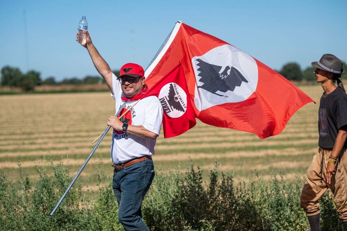Ernest Martínez, de San Antonio, se unió a la marcha del sindicato United Farm Workers después de una parada en Galt, el martes 23 de agosto de 2022. "Hay un movimiento en todo el país de supresión de votantes. Son los mismos problemas con los campesinos. Ellos quieren sus elecciones en privacidad, poder no ser acosados o intimidados en los campos," dijo Martínez.