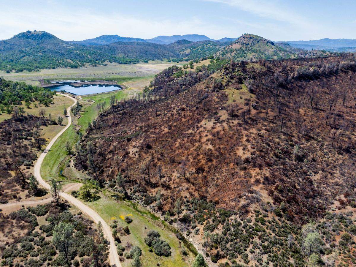 In the Guenoc Valley, photographed by drone on on Monday April 12, 2021, trees grow near the scorch marks from the backburn from the LNU Lightning Complex Fire in August 2020. The valley is the site of a planned $1 billion resort and housing development in Lake County, and much of it designated by Cal Fire as highly vulnerable to wildfire.