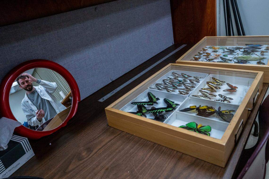 Sam Curtis oversees a collection of exotic insects last month at Sacramento State. “Wages really are stagnant and the world’s got really expensive,” said Curtis, who makes about $52,000 a year in base pay.