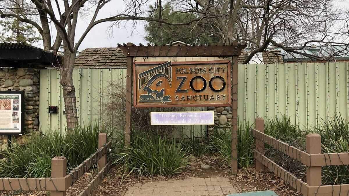 The Folsom City Zoo Sanctuary, shown here on Jan. 18, 2023, is currently registering participants for its 2023 docent training classes. Interested parties must be 21 years or older.