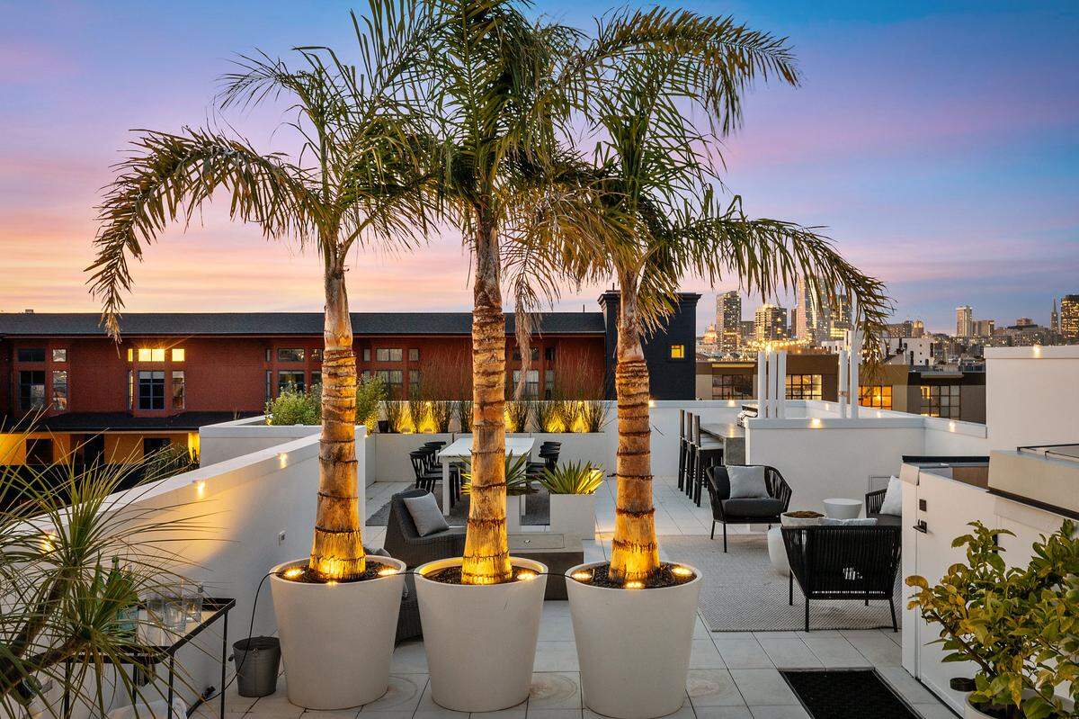The tropical setting of the rooftop of a penthouse for sale in San Francisco for $8.29 million.