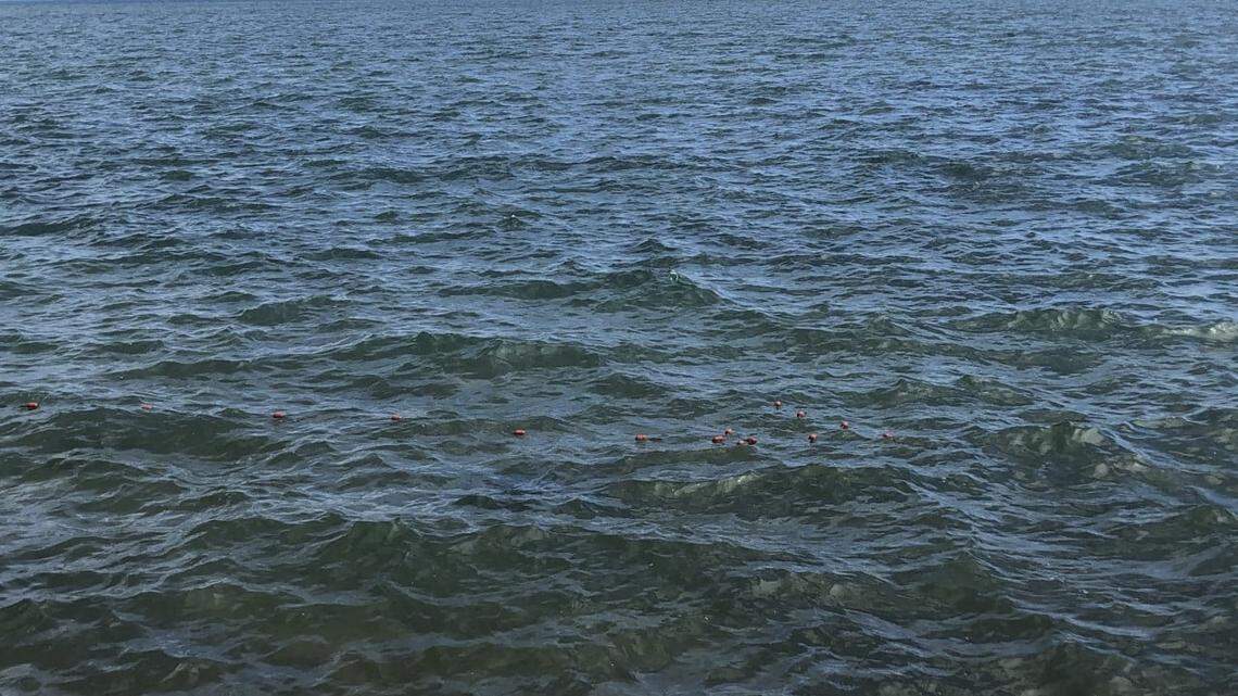 A Hawaii couple are facing nearly $300,000 in fines for an illegal aquarium fishing operation that “achieved a level of notoriety” when the boat abandoned two women scuba divers in open water, the Hawaii Department of Land and Natural Resources reports.