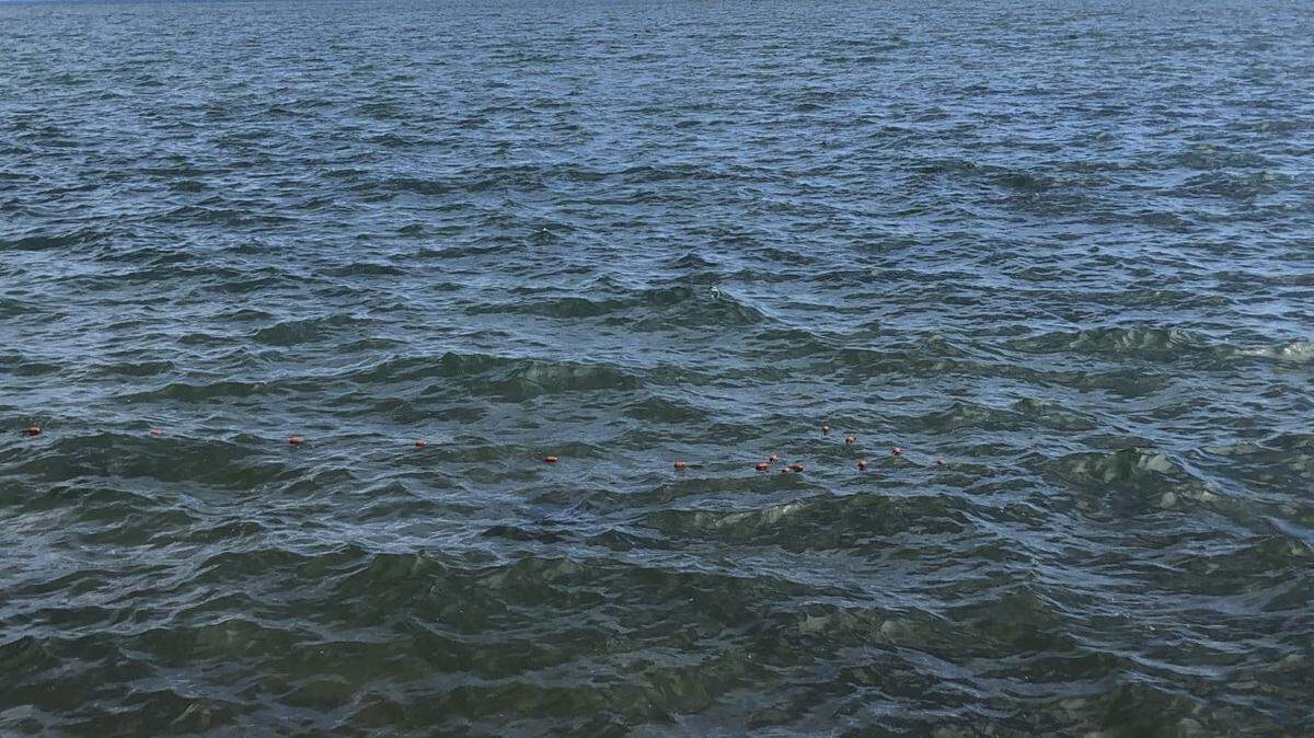 A Hawaii couple are facing nearly $300,000 in fines for an illegal aquarium fishing operation that “achieved a level of notoriety” when the boat abandoned two women scuba divers in open water, the Hawaii Department of Land and Natural Resources reports.