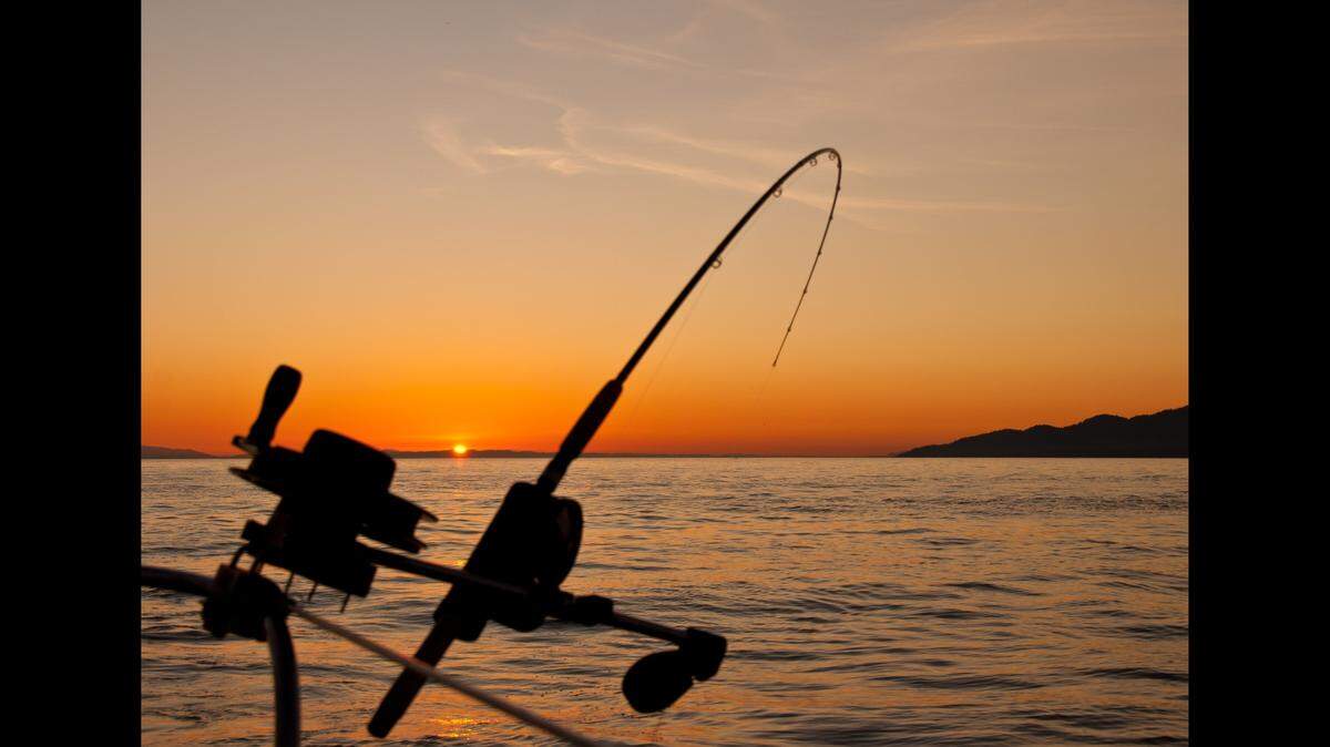 A man fishing with friends died after diving into a canal to retrieve a dropped cellphone, California authorities said.