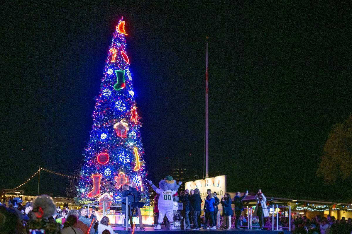 The 60-foot-tall white fir Christmas tree stands in Old Sacramento after being illuminated for the first time on Wednesday, Nov. 27, 2024. The tree is decorated with nearly 24,000 lights, 550 icicles and 400 strobes.