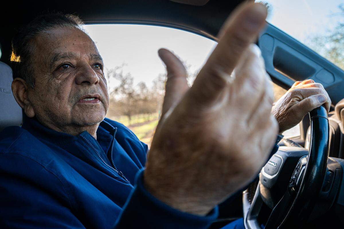 As peach farmer Sarb Johl drives around his farm in Yuba County on Feb. 3, he points out an orchard that Del Monte asked him to plant two years prior. “Del Monte was asking us to plant more because they were trying to expand their grower base,” Johl said. 
