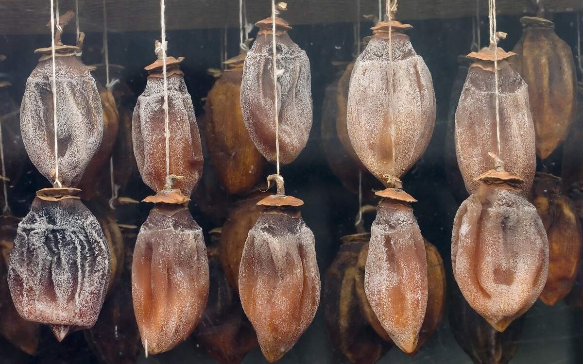 Hachiya persimmons are coated with the frutcose sugar from the fruit as is dries using the Japanese method of drying persimmons, Hoshigaki, at the Otow farms in Granite Bay, California.