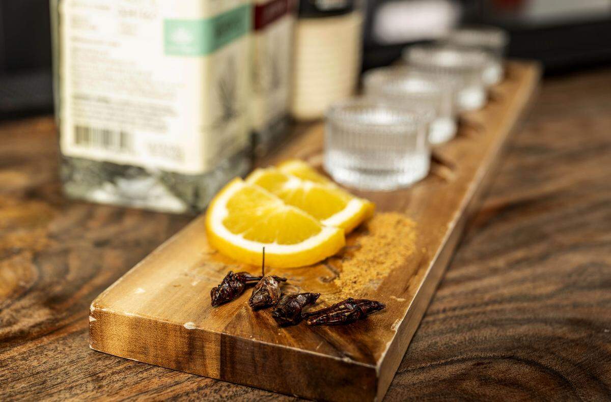 Chapulines – toasted and seasoned grasshoppers, a traditional Oaxacan delicacy – are served with a flight of mezcal at Oaxaca Coctelería and Mezcalería.