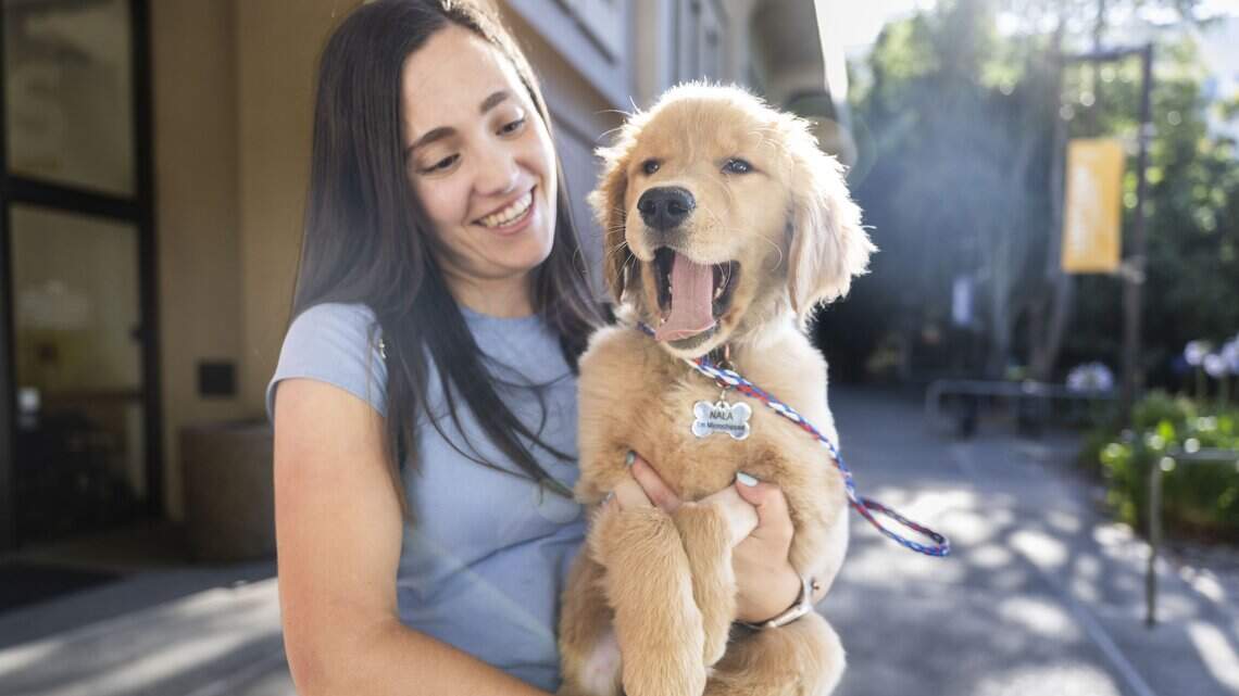 This Folsom puppy ate a death cap mushroom. How quick thinking saved her life