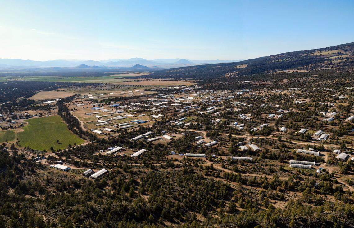 Greenhouses pepper the landscape north of Siskiyou County Road A-12 in a May 13, 2021, drone photo. For the last several years, many of the new illicit marijuana grows were attributed to residents of the Hmong community that had moved into the Mount Shasta Vista subdivision. Recently, however, community members say a separate group of Chinese growers have increased the visibility of activity in the area.