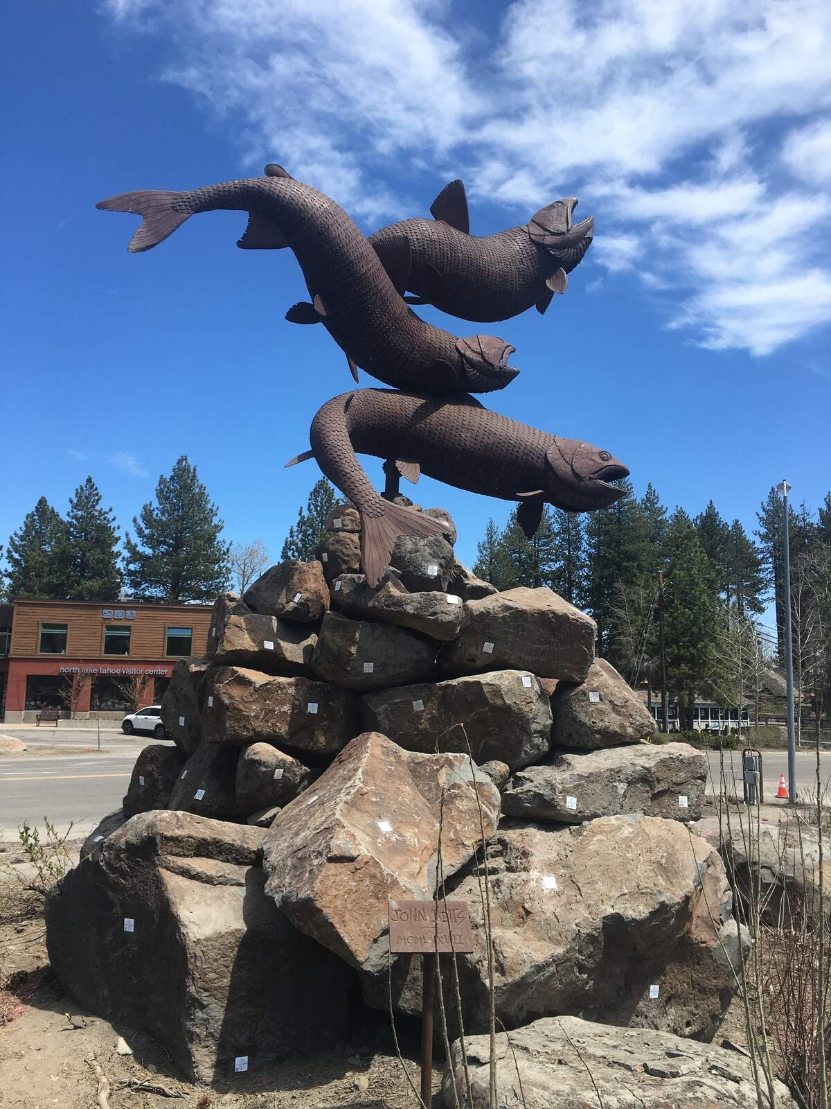 John Betts' sculpture of three leaping trout has adorned the Tahoe City "wye" intersection since the 1970s.