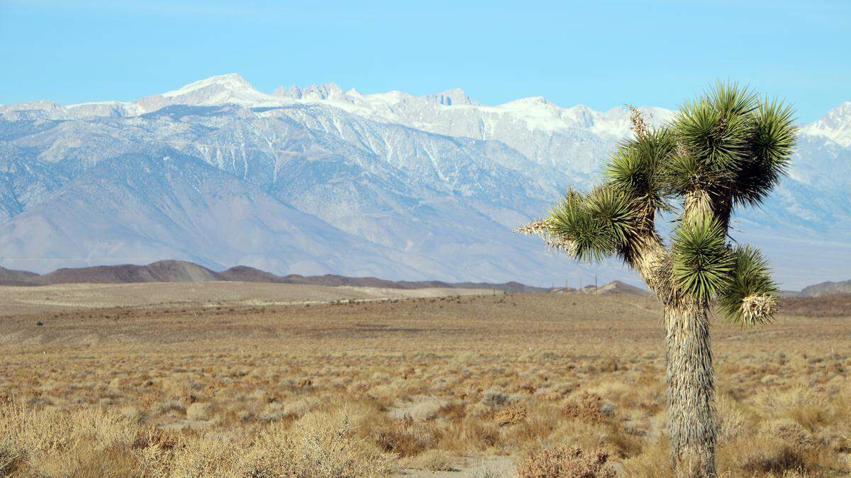 Joshua trees and views of the scenic Sierra Nevada range add to Death Valley’s ambiance.