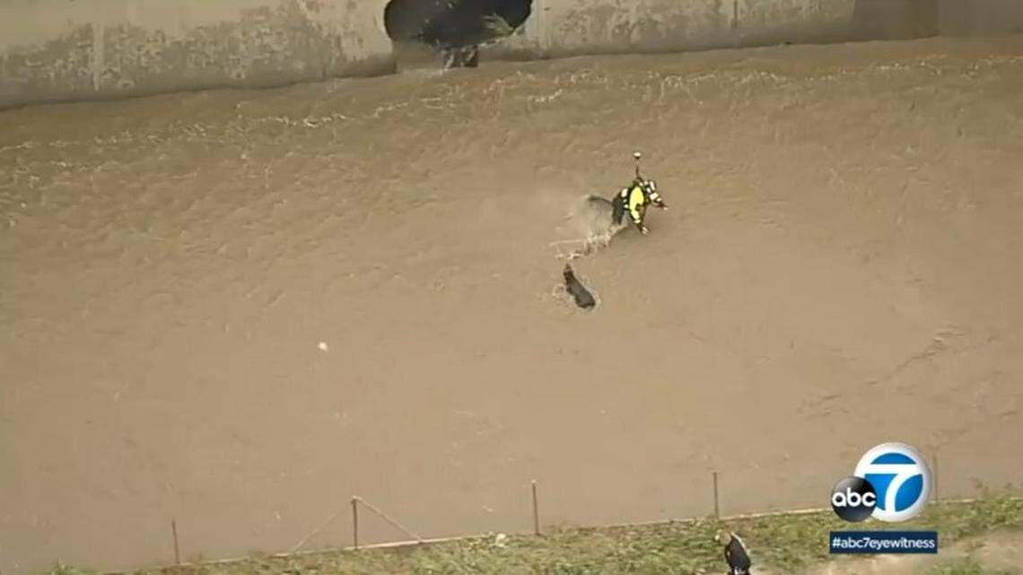 Firefighters rescued two people and a dog from the rain-swollen Los Angeles River during a dramatic 90-minute operation, California officials say.