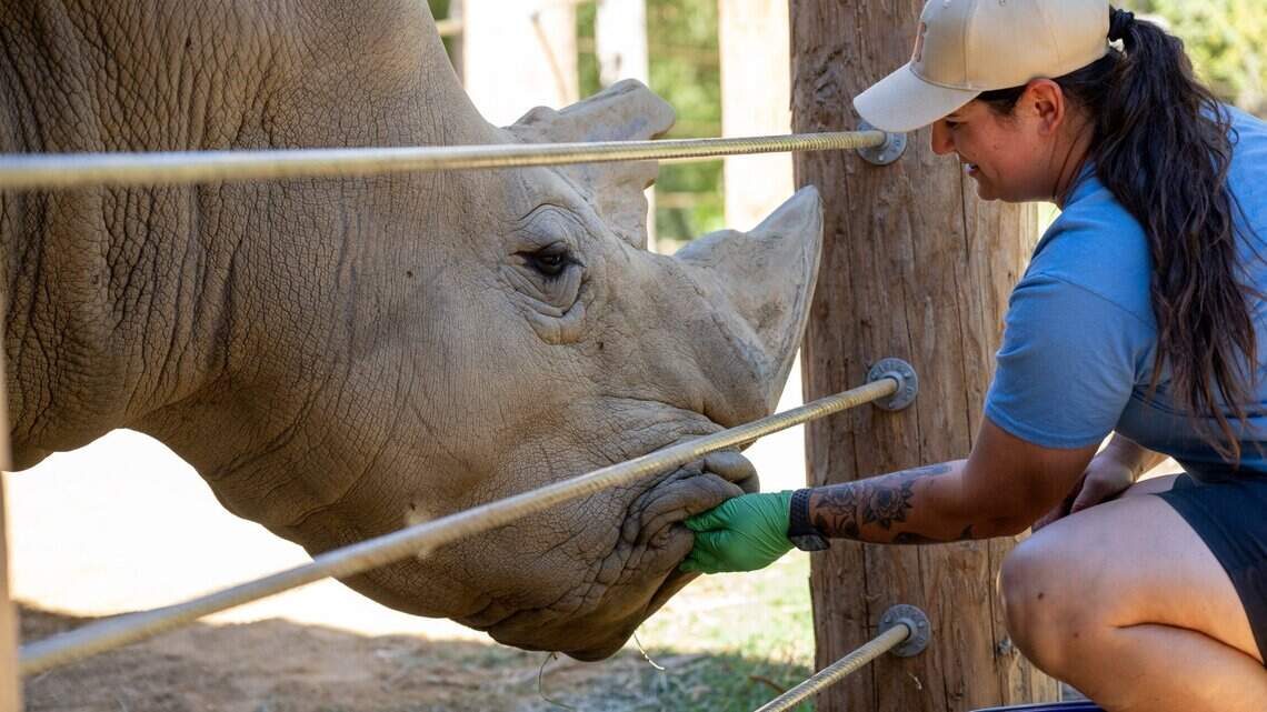Why won’t Sacramento Zoo move to Elk Grove? It boils down to money and vision