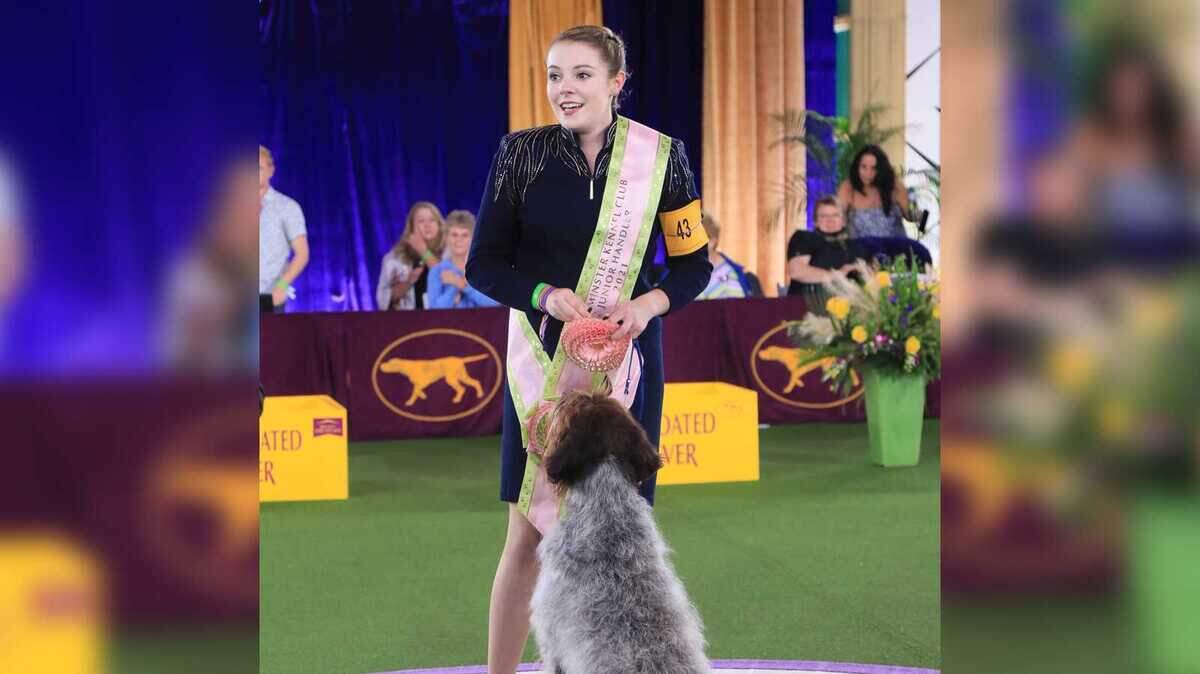 Lily Bennett, 16, of Orangevale, Calif., won the junior showmanship competition at the 145th Annual Westminster Kennel Club Dog Show on Sunday, June 13, 2021, in Tarrytown, N.Y. Bennett will use her $10,000 scholarship winnings to study animal science when she graduates.