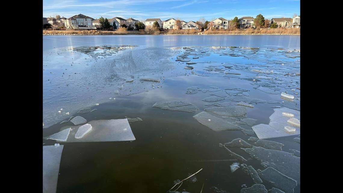 Neighbors rescued four children who fell through thin ice into a Roxborough Park pond using hoses and ropes, Colorado firefighters say.