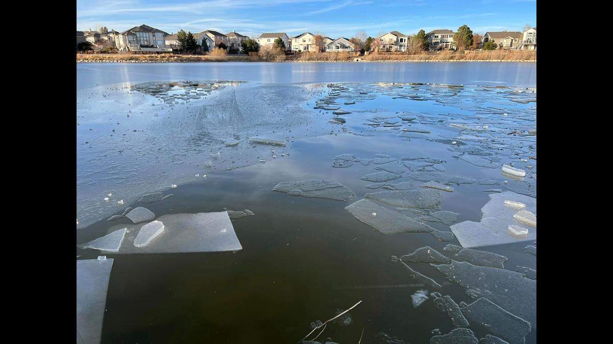 Neighbors rescued four children who fell through thin ice into a Roxborough Park pond using hoses and ropes, Colorado firefighters say.