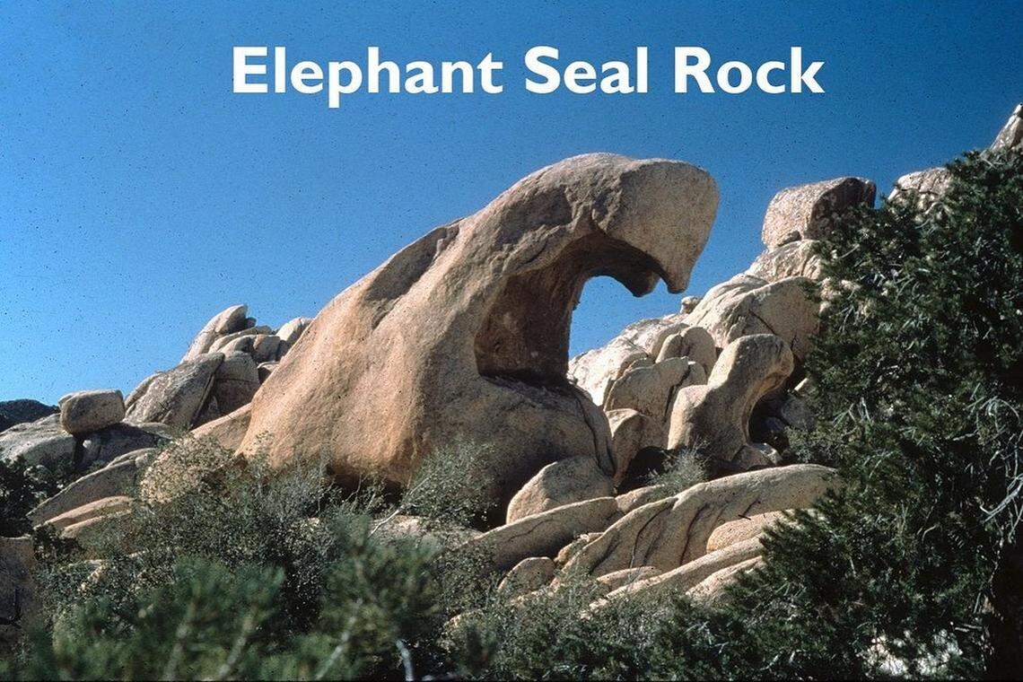 Elephant Seal Rock at Joshua Tree National Park in California
