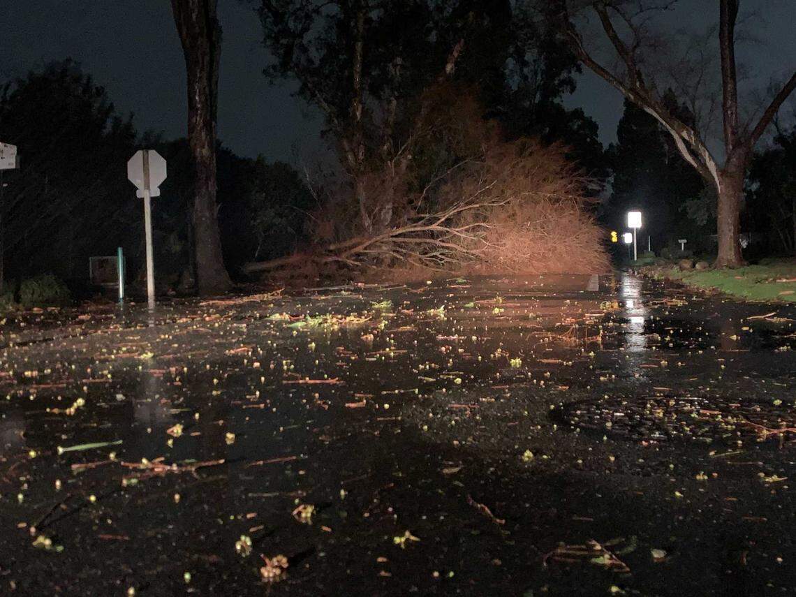 A tree blocks Morse Avenue at Pope Avenue after being brought down Sunday by high winds and rain near Del Paso Country Club in Arden Arcade. The storm knocked out power to hundreds of thousands of residents around Sacramento.