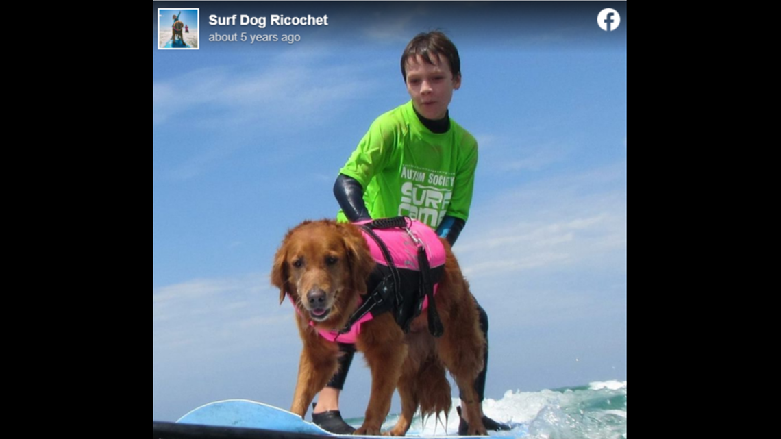 A beloved surfing therapy dog named Ricochet died of cancer at the age of 15, according to a California nonprofit.
