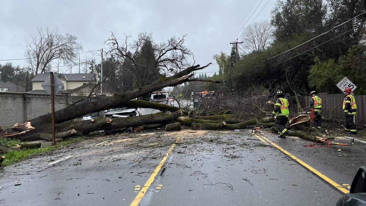 CHP and fire personnel responded after a tree fell on top of two SUVs on Sunday, March 19, 2023, on Auburn Folsom Road in Granite Bay. Both drivers were taken to hospitals with moderate injuries.