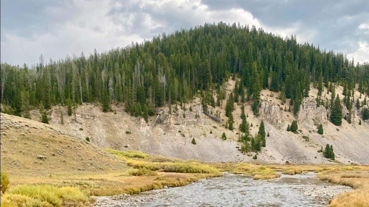 Skeletal remains found by hunters in a remote area of a Montana national forest have been identified as an Army veteran, reports say.