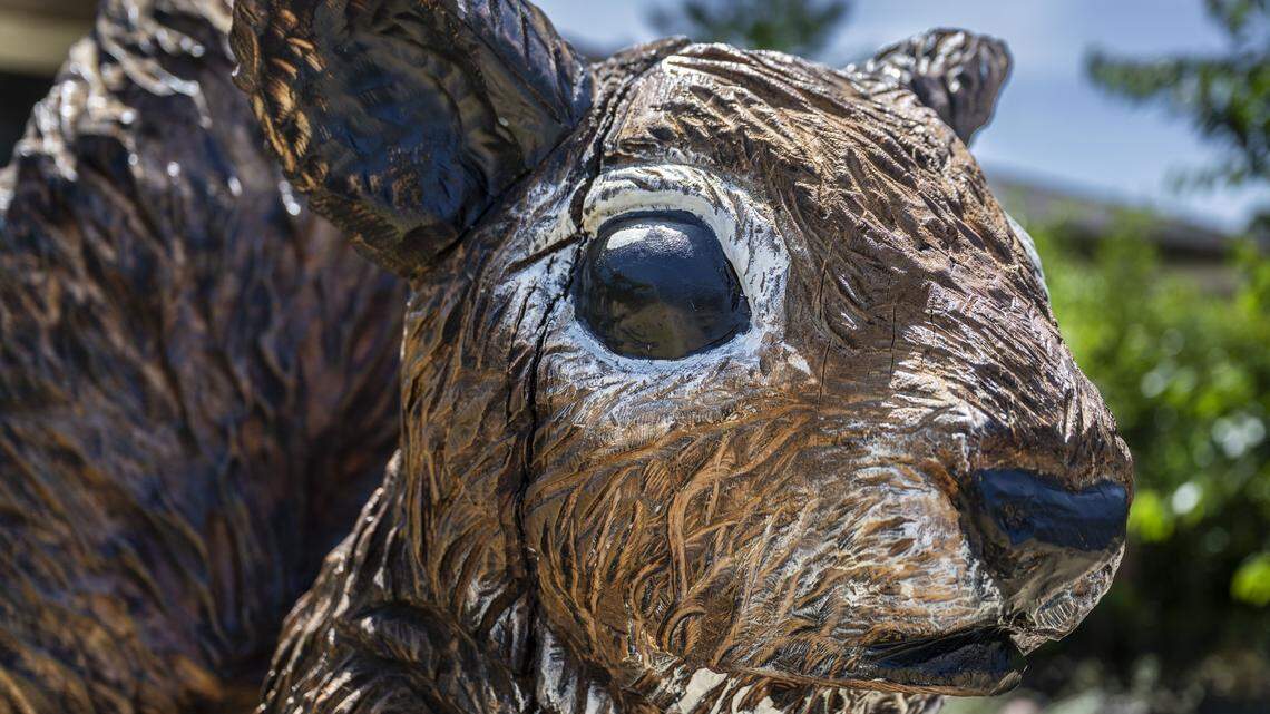 Meet Butchy the squirrel and other Sacramento stumps turned into chainsaw art