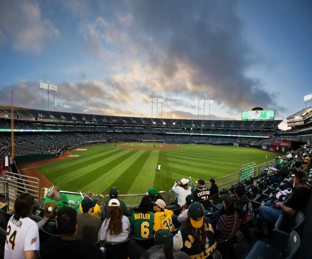 Faithful Oakland fans come out to see the Athletics play the Tampa Bay Rays on Wednesday, Aug. 21, 2024, at the Oakland Coliseum.