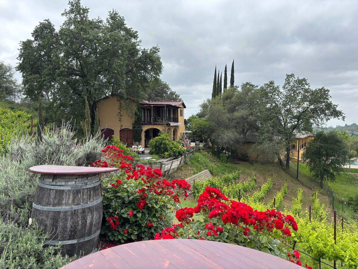 The Cristaldi Vineyards winery and wine grape fields appear in the hills as guests walk down a short gravel path leading from the main road.
