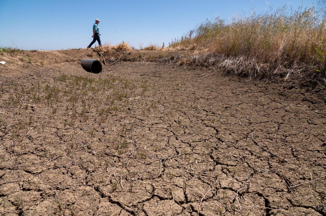 Rice farmer Don Bransford walks past a dry ditch Wednesday, May 4, 2022. More than a third of California was experiencing drought conditions as of Thursday, June 19, 2025.