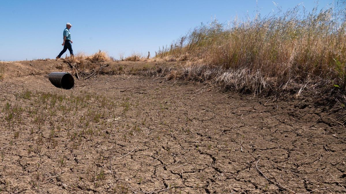 Here’s what a heat wave actually is and why Sacramento is getting hit hard