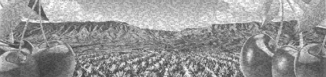 A rendering of "The Trip Around the Block is the Trip Around the World," an art installation by interdisciplinary artist Paul Ramírez Jonas that will be installed on three sides of Sacrametno International Airport's new parking garage near Terminal B.