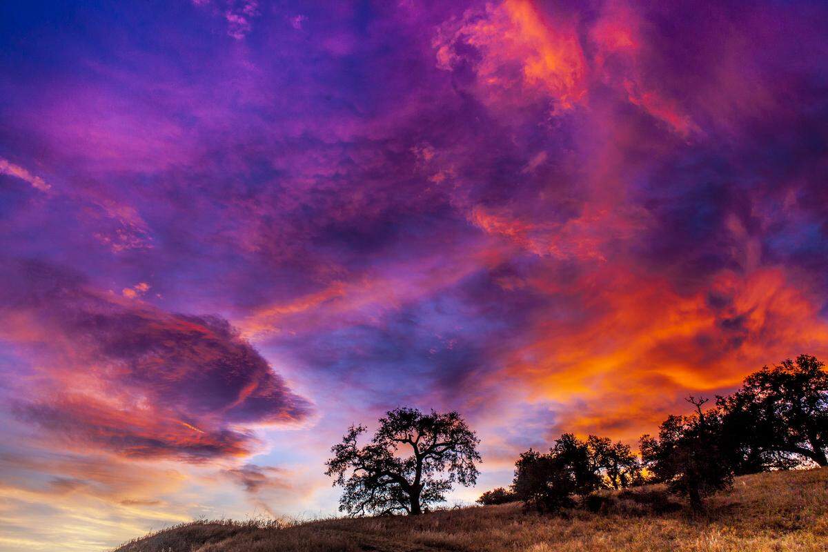 A spectacular sunset over an oak-lined ridge in Ojai, California.