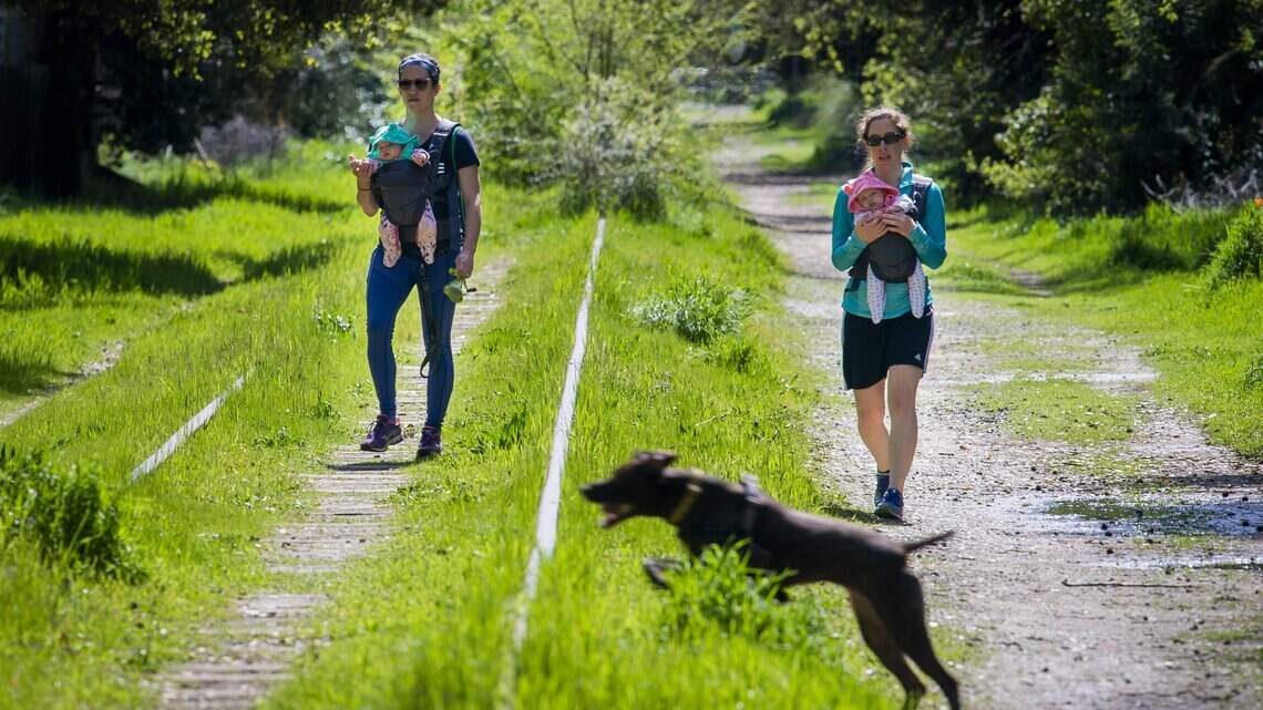 City approves controversial new bike trail through south Sacramento. What happens next?